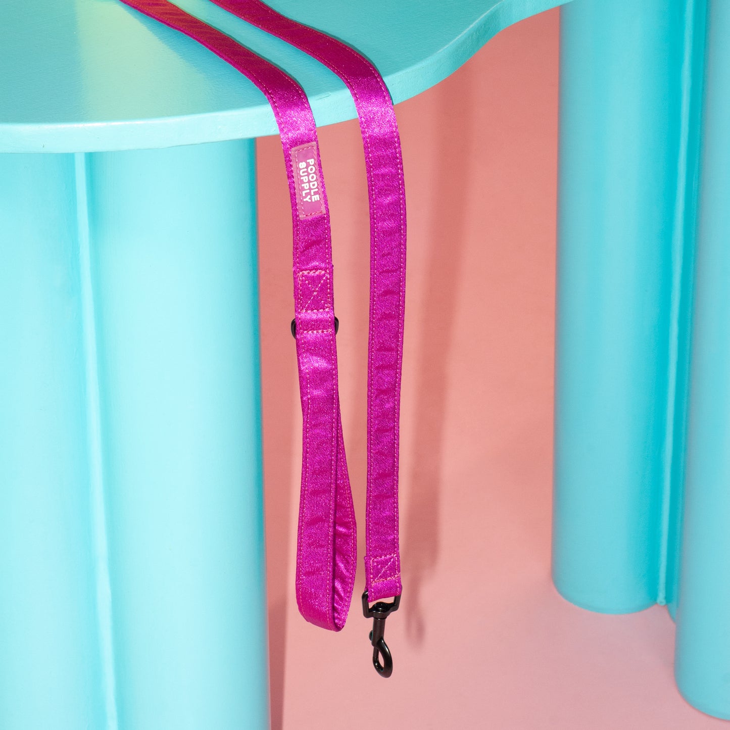Leash - Dragonfruit