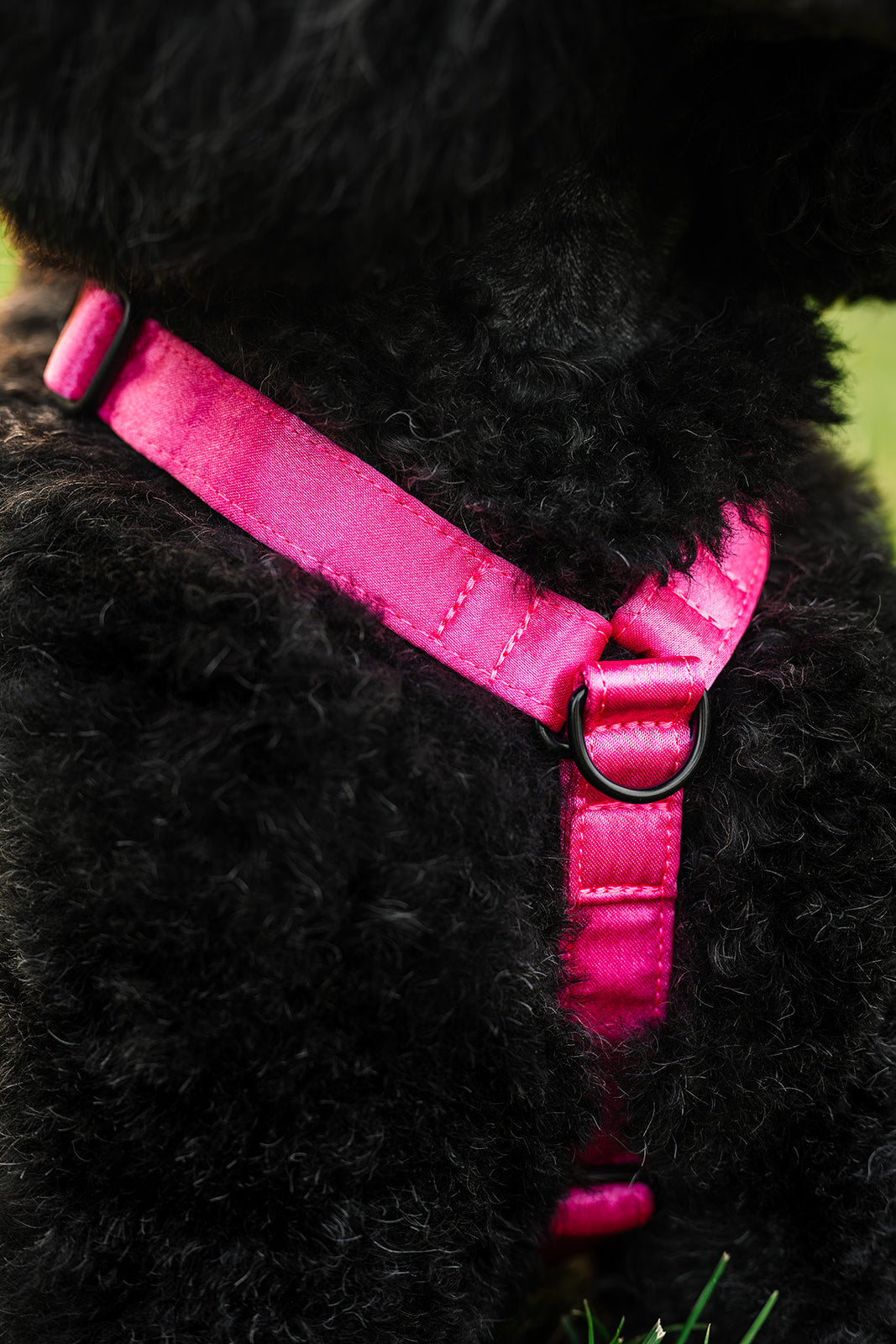 Everyday Satin Harness - Spicy Strawberry