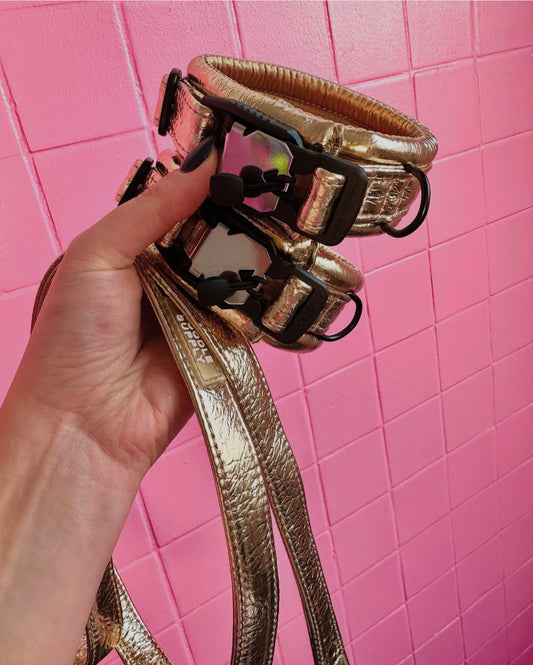 Toy / Miniature / Medium Compact Magnetic Collar Midnight Sun