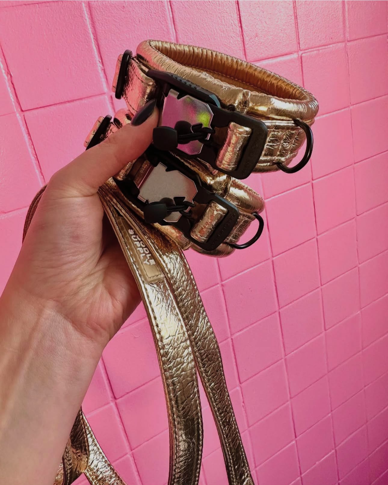 Toy / Miniature / Medium Compact Magnetic Collar Frozen Lake