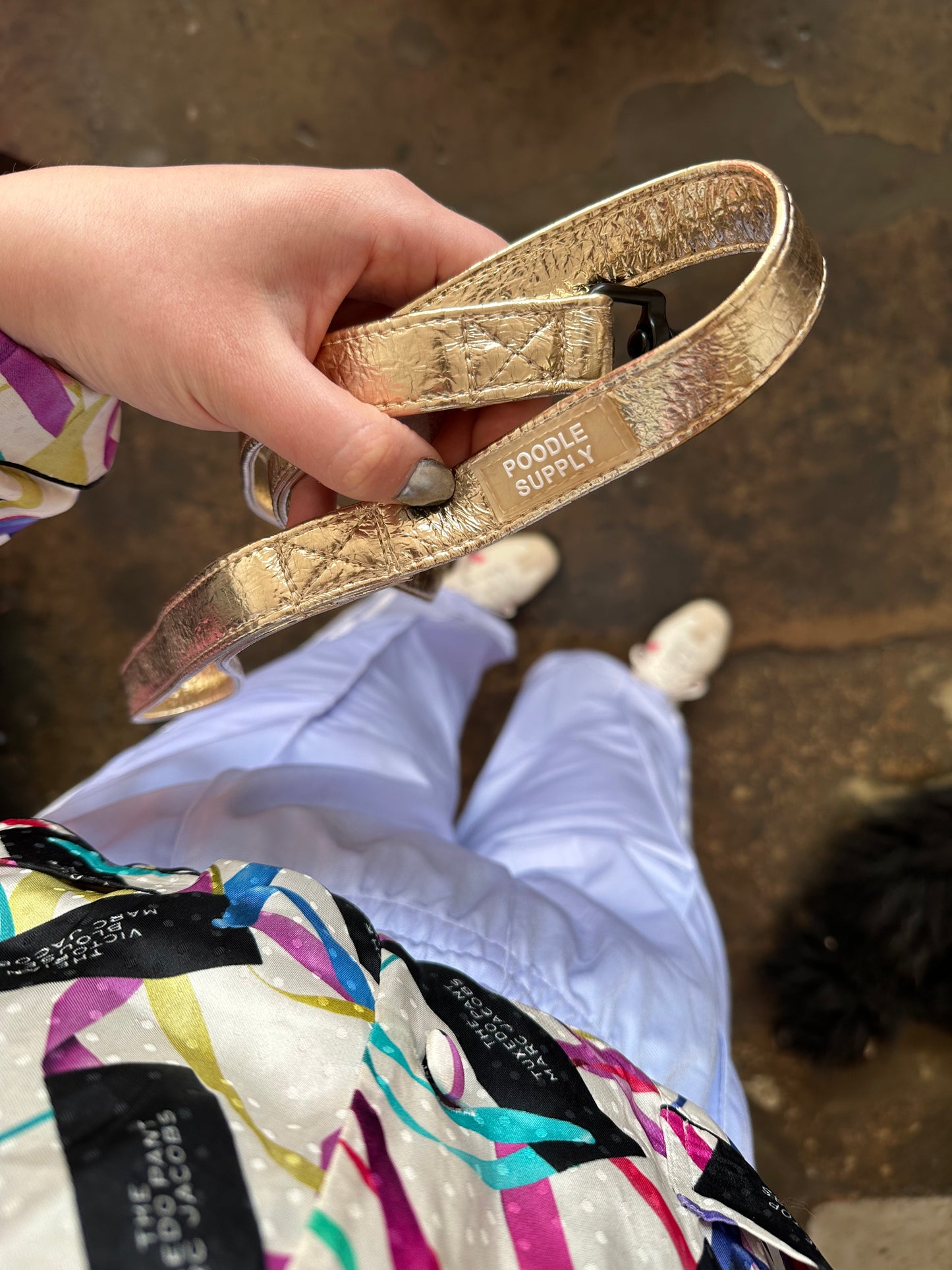 Toy / Miniature / Medium Compact Magnetic Collar Frozen Lake