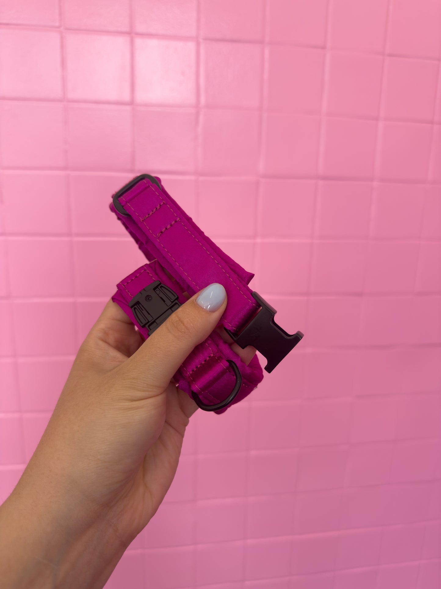 Fluffy Buckle Collar Dragonfruit