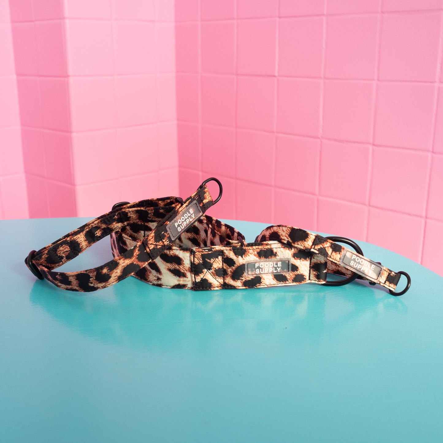 Martingale Collar Leopard Supply - 2cm