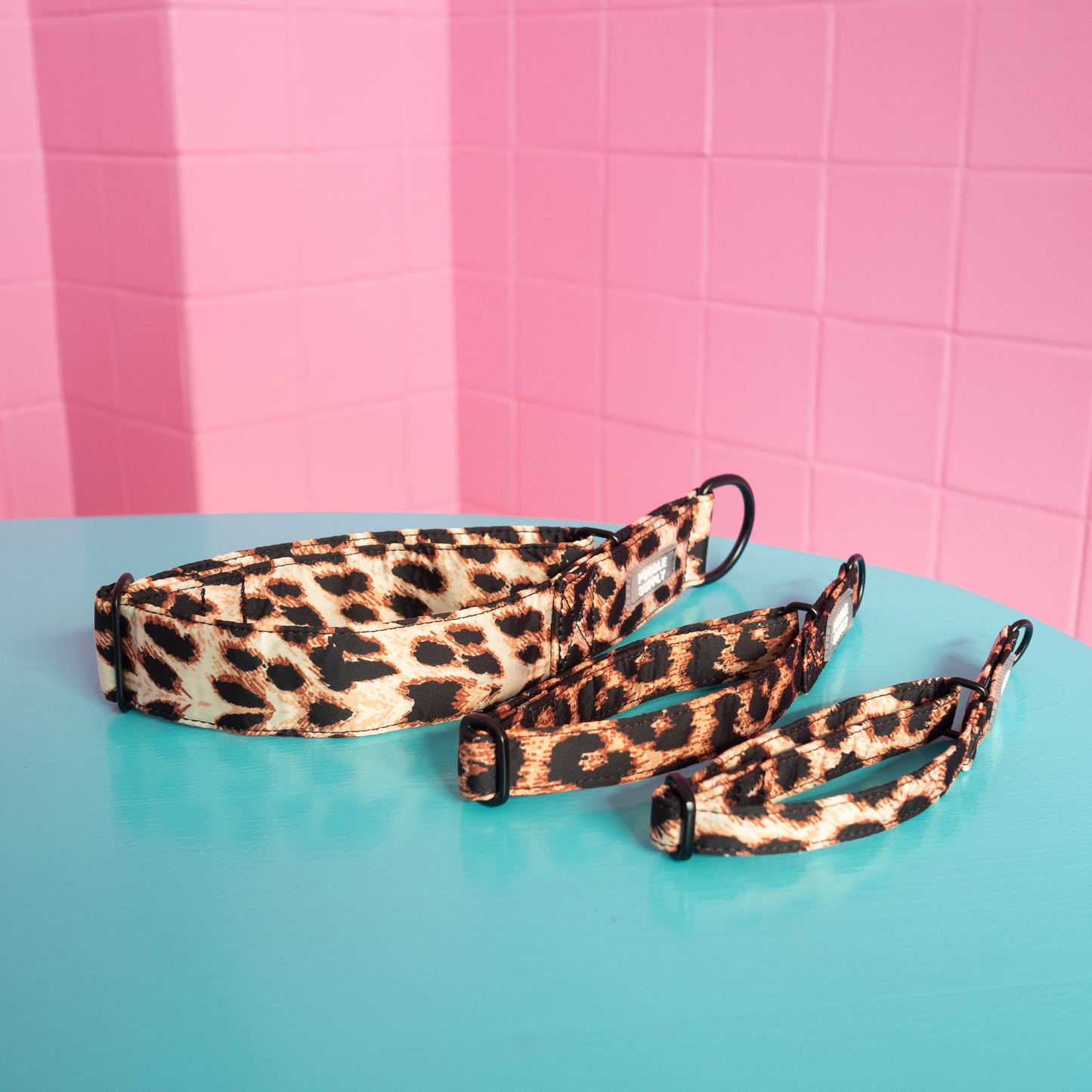 Martingale Collar Leopard Supply - 2cm