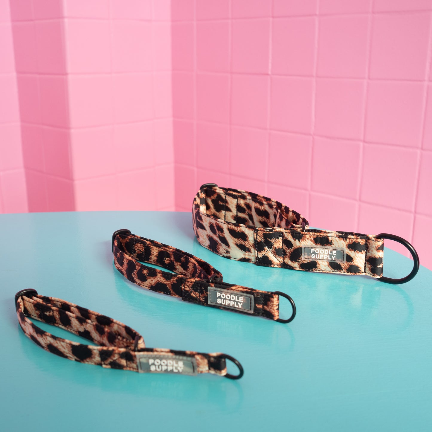 Martingale Collar Leopard Supply - 2cm