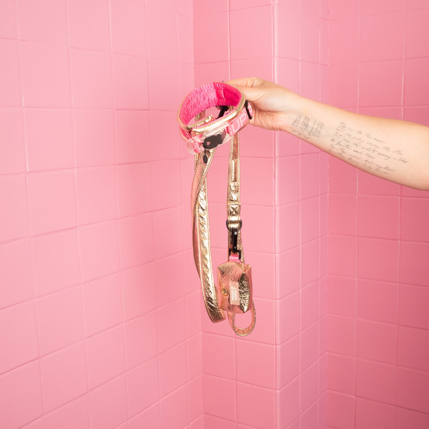 Toy / Miniature / Medium Fluffy Magnetic Collar - Eco Leather Midnight Sun Poodle Mania