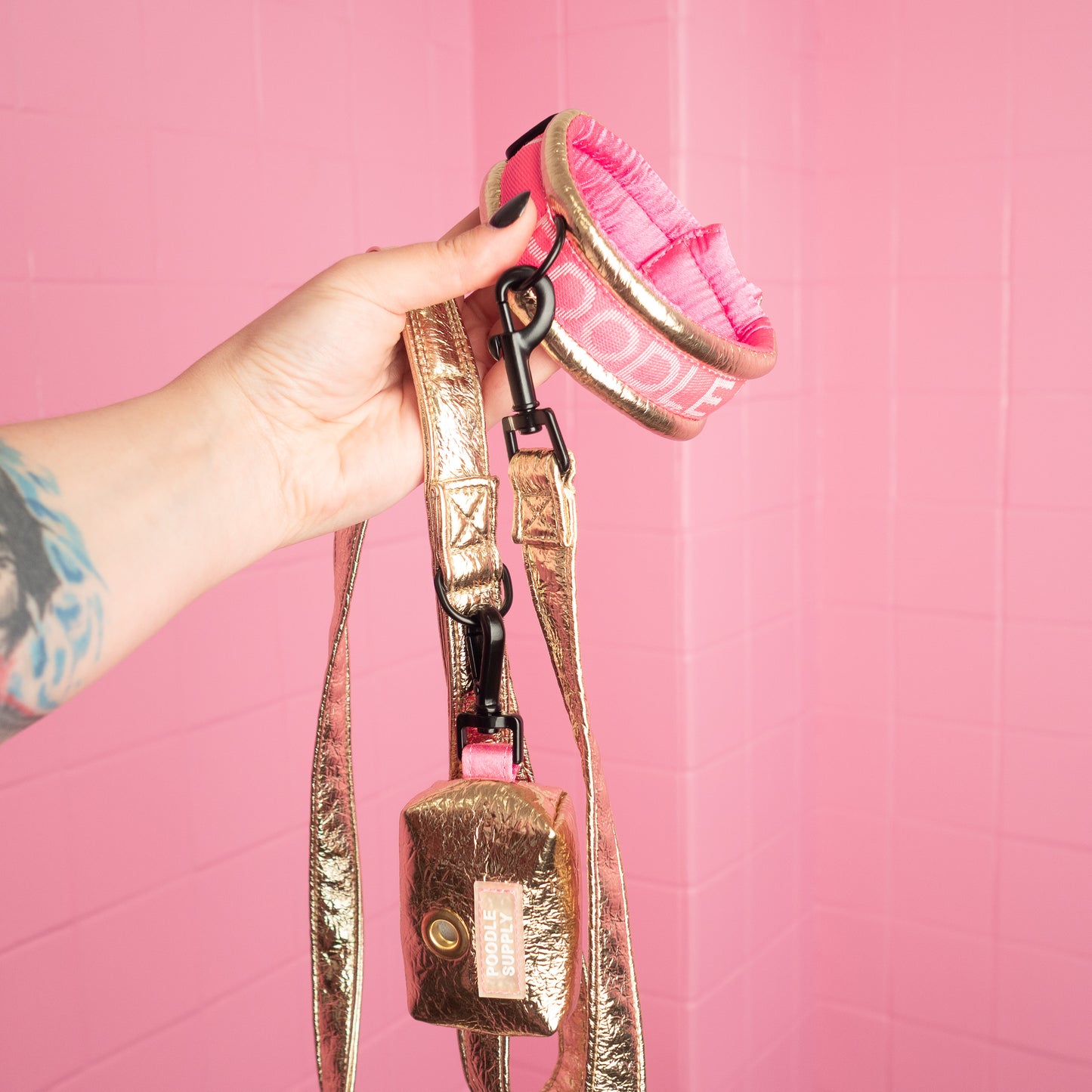 Toy / Miniature / Medium Fluffy Magnetic Collar - Eco Leather Midnight Sun Poodle Mania