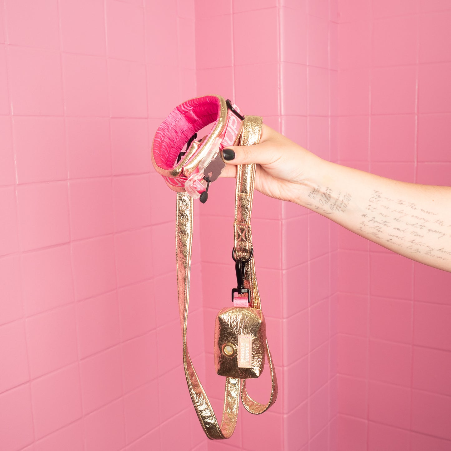 Toy / Miniature / Medium Fluffy Magnetic Collar - Eco Leather Midnight Sun Poodle Mania