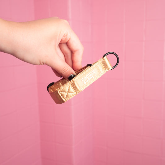 Martingale Collar Candy Satin - Toffee Gleam