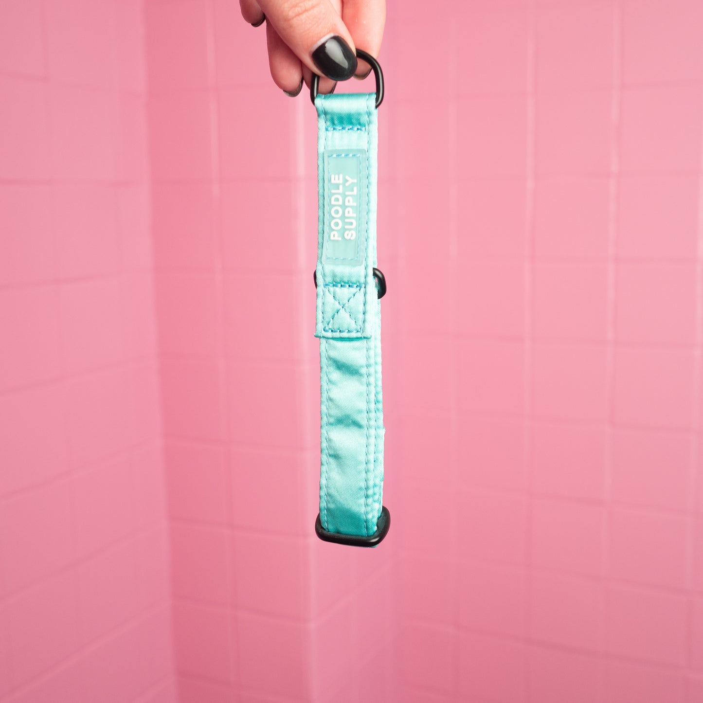 Martingale Collar Candy Satin - Zesty Mint