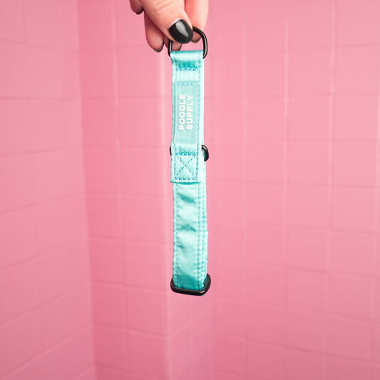 Martingale Collar Candy Satin - Zesty Mint