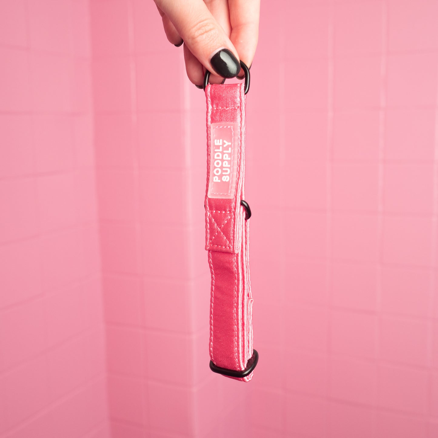 Martingale Collar Candy Satin - Cotton Candy