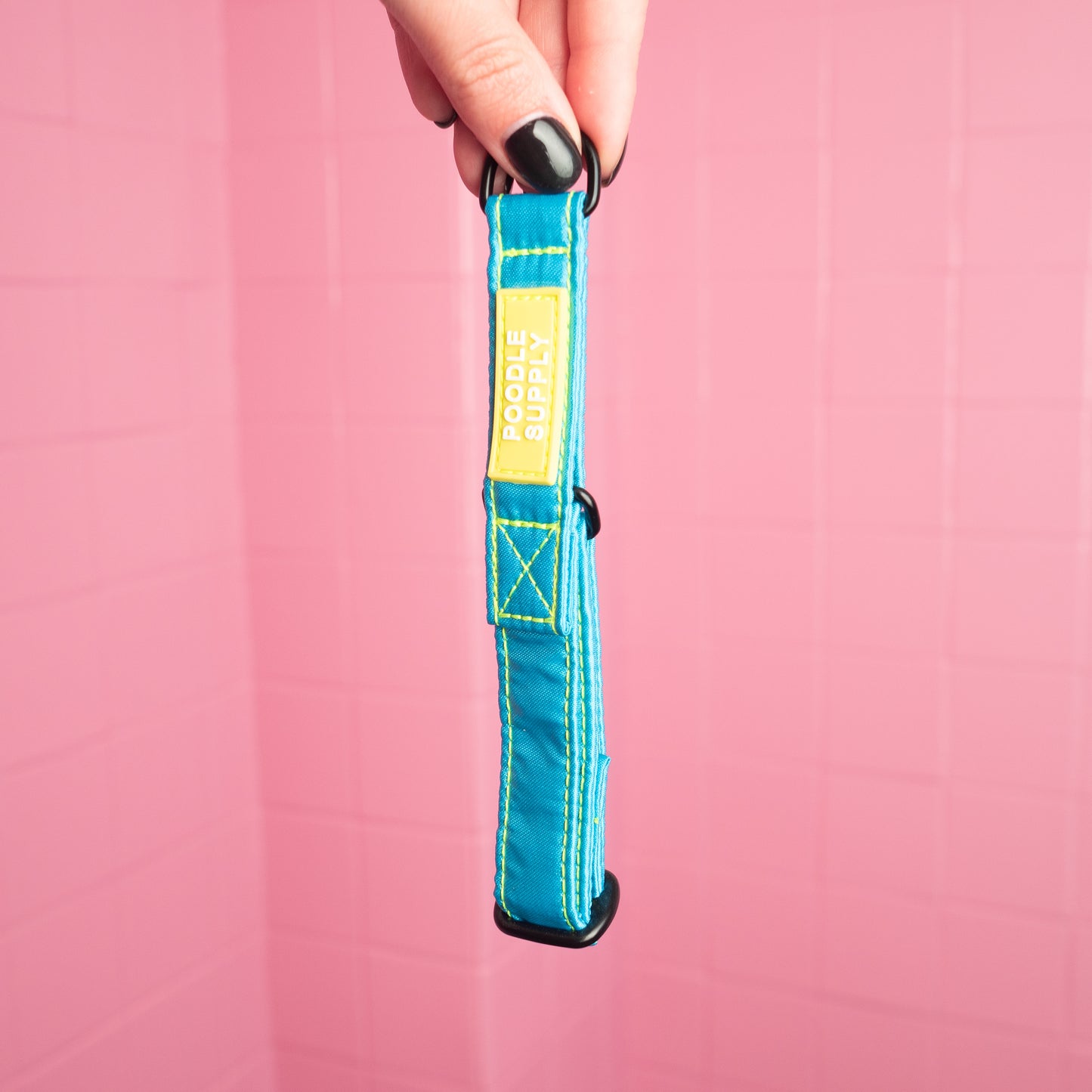 Martingale Collar Candy Satin - Neon Tropical Breeze