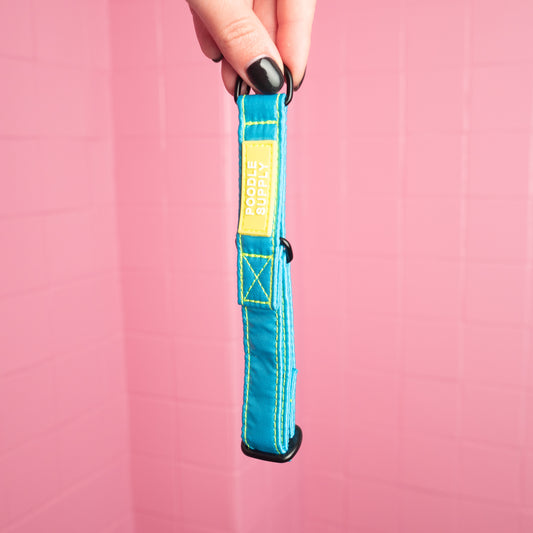 Martingale Collar Candy Satin - Neon Tropical Breeze