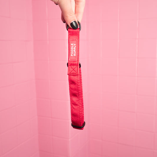 Martingale Collar Candy Satin - Spicy Strawberry