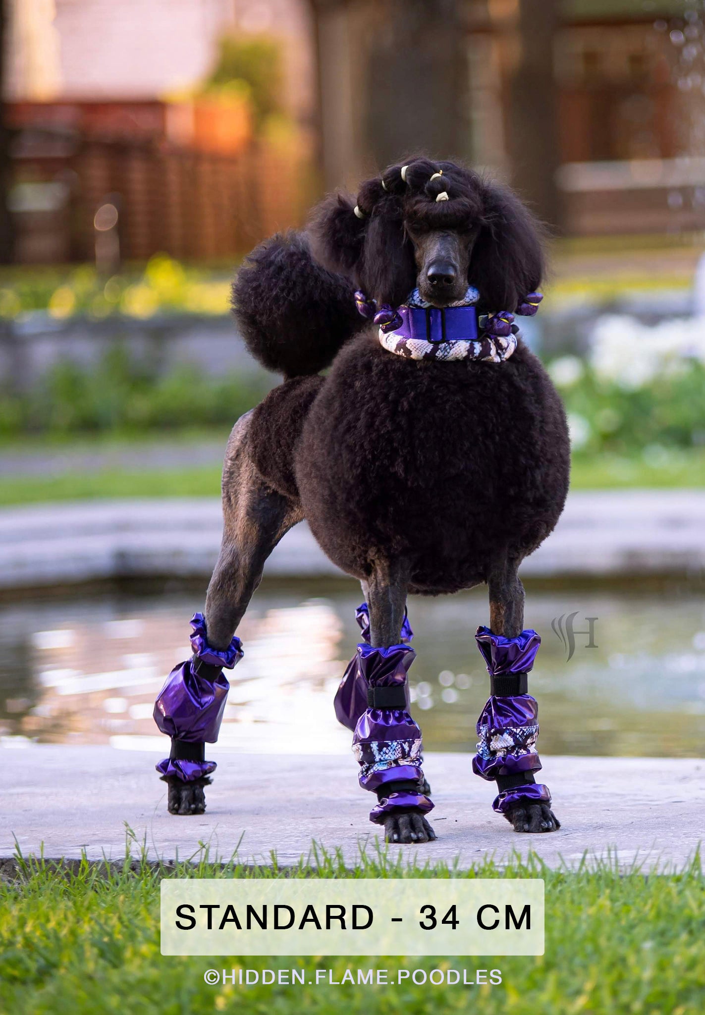 Poodle Supply Set 4 Leg Protectors Gold Rush