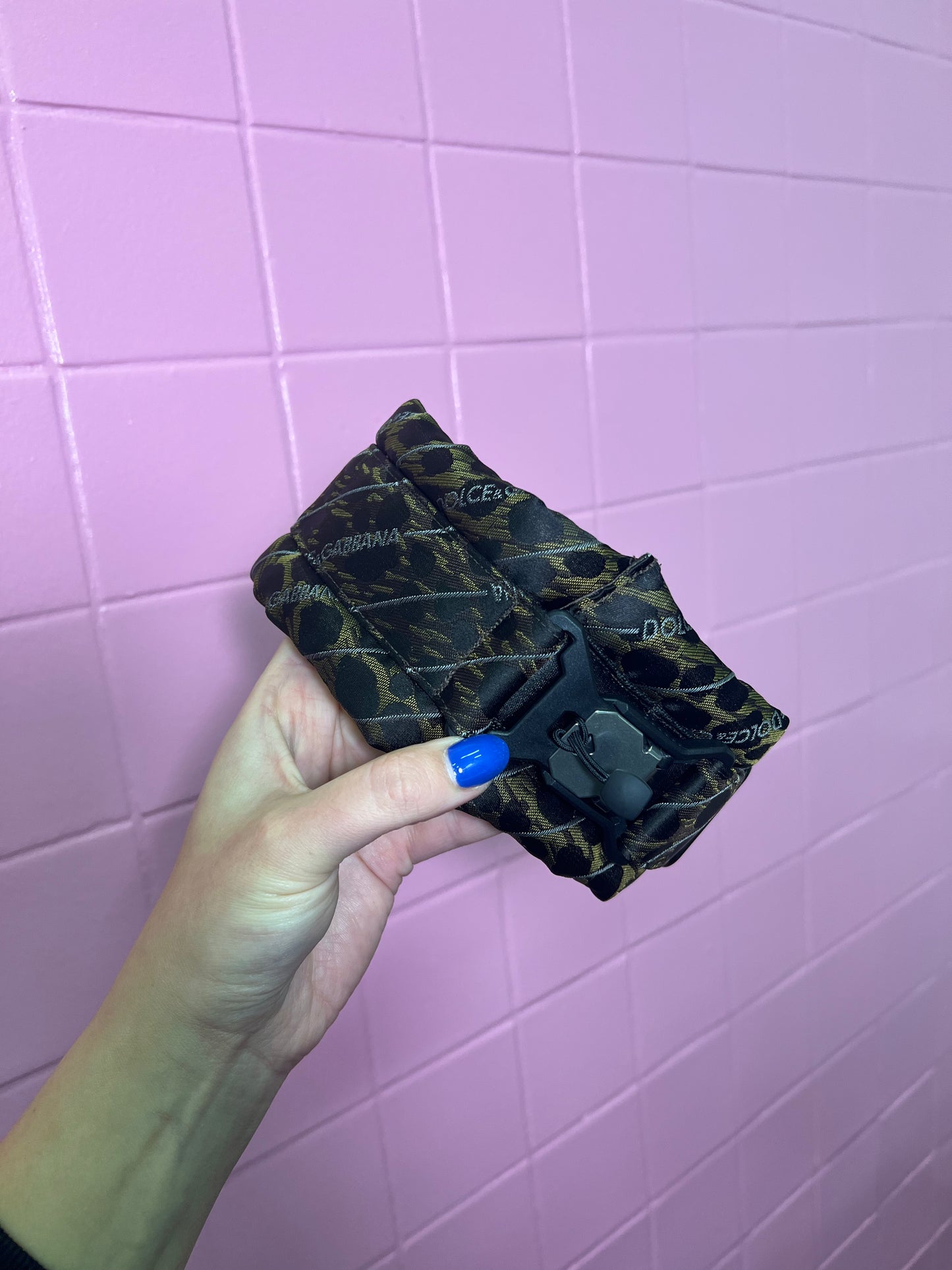 Standard Designer Magnetic Collar Dolce & Gabbana