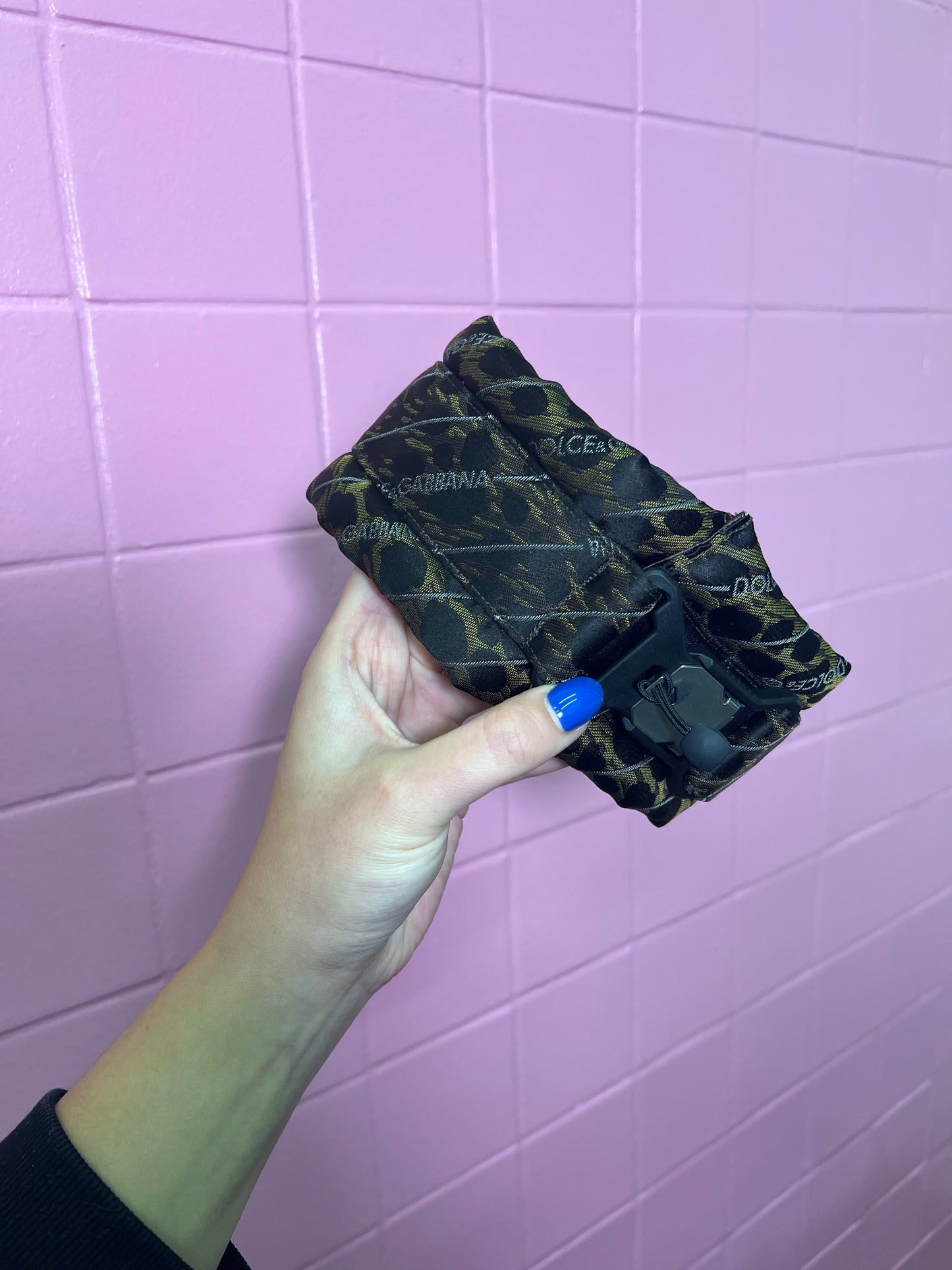 Standard Designer Magnetic Collar Dolce & Gabbana