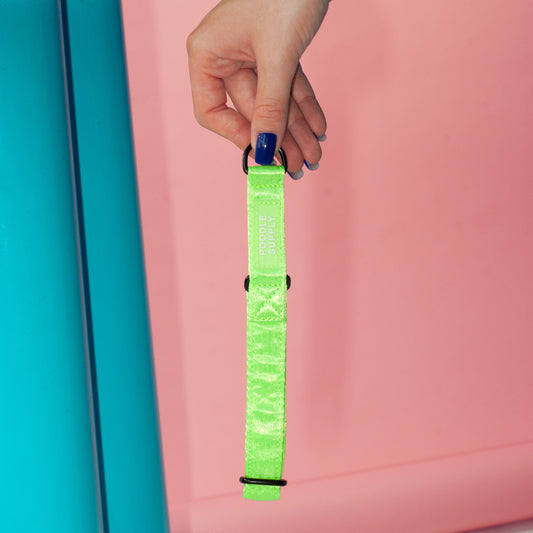 Martingale Collar Candy Satin - Sour Apple
