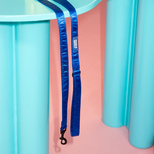 Leash - Royal Blue