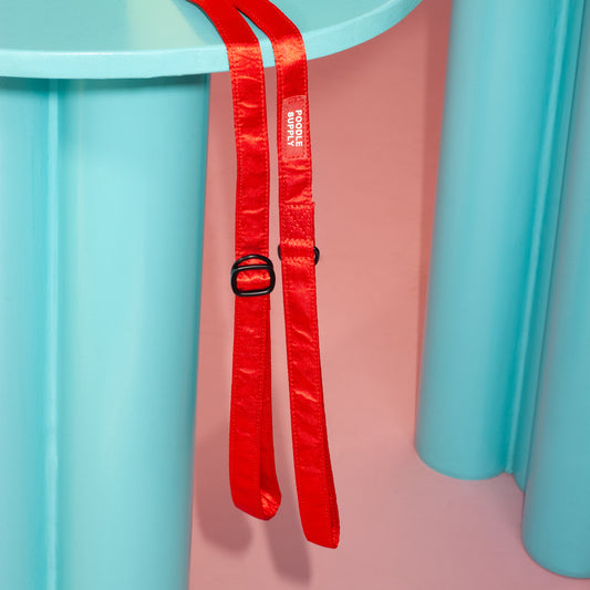Slip Lead - Spicy Strawberry