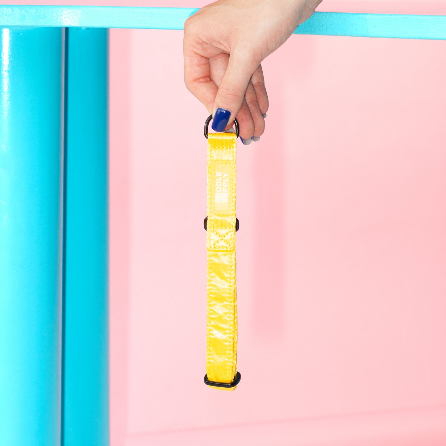 Martingale Collar Candy Satin - Lemon