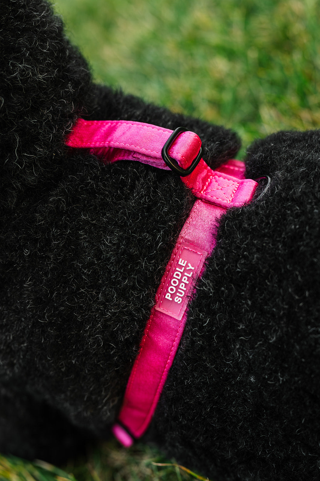 Everyday Satin Harness - Spicy Strawberry