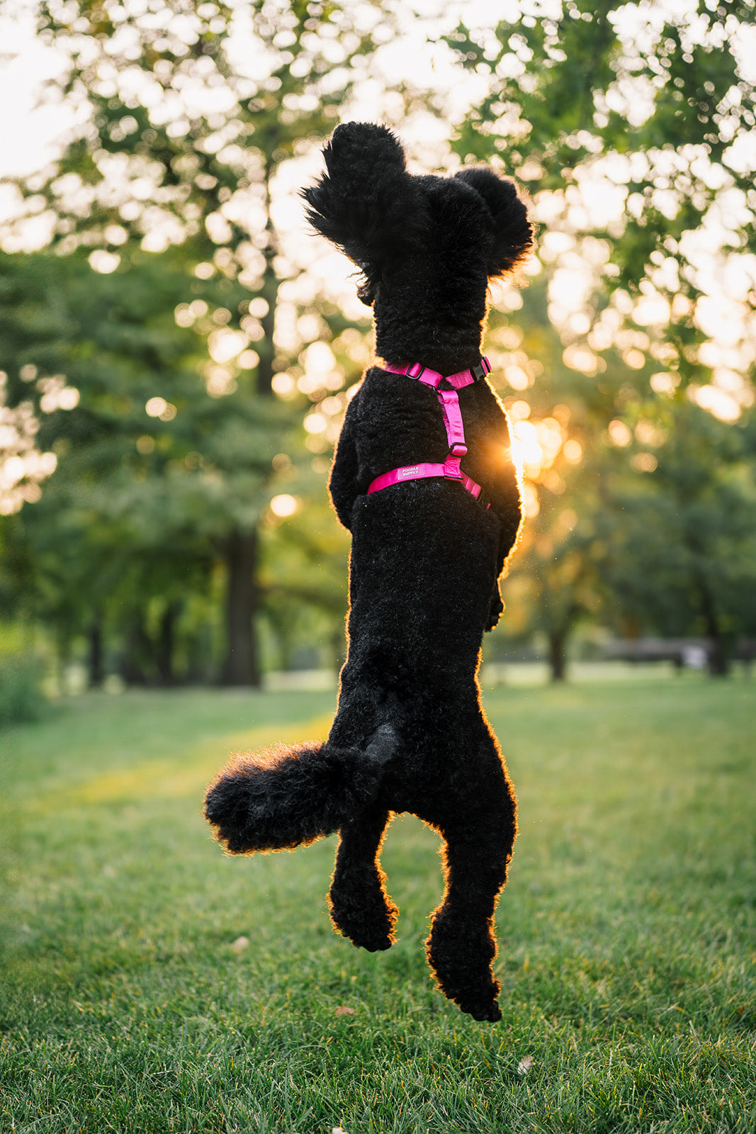 Everyday Satin Harness - Spicy Strawberry