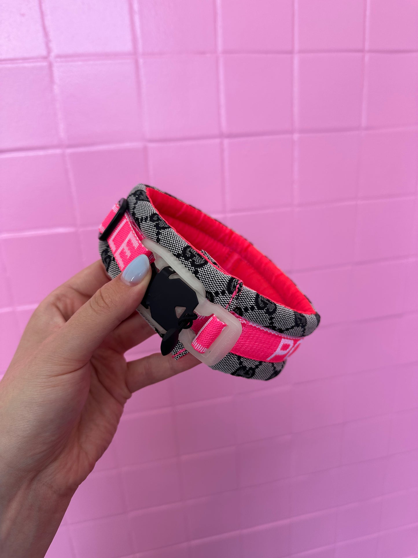 Poodle Mania Meets Italian Designer Magnetic Collar