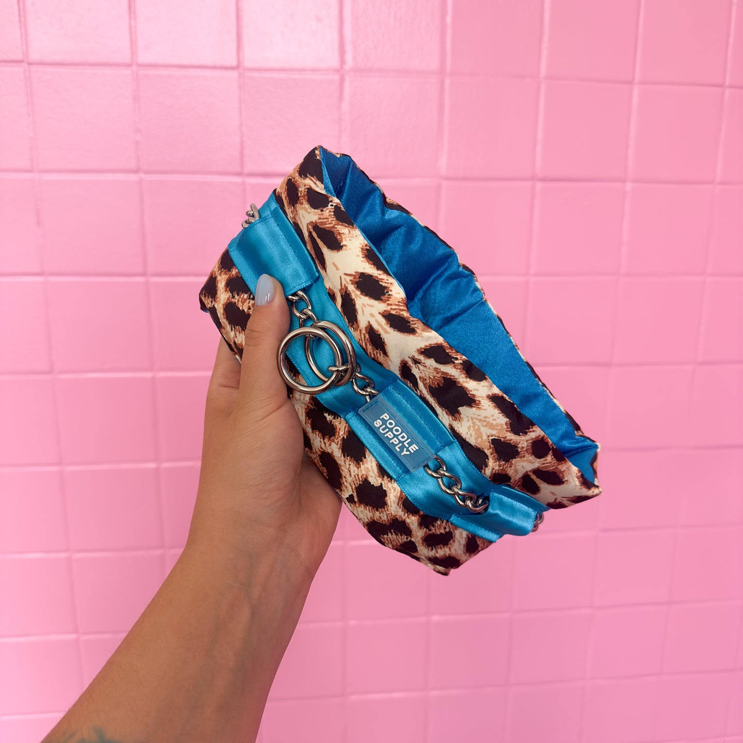 Fluffy Chain Collar Leopard with Blue Full Satin