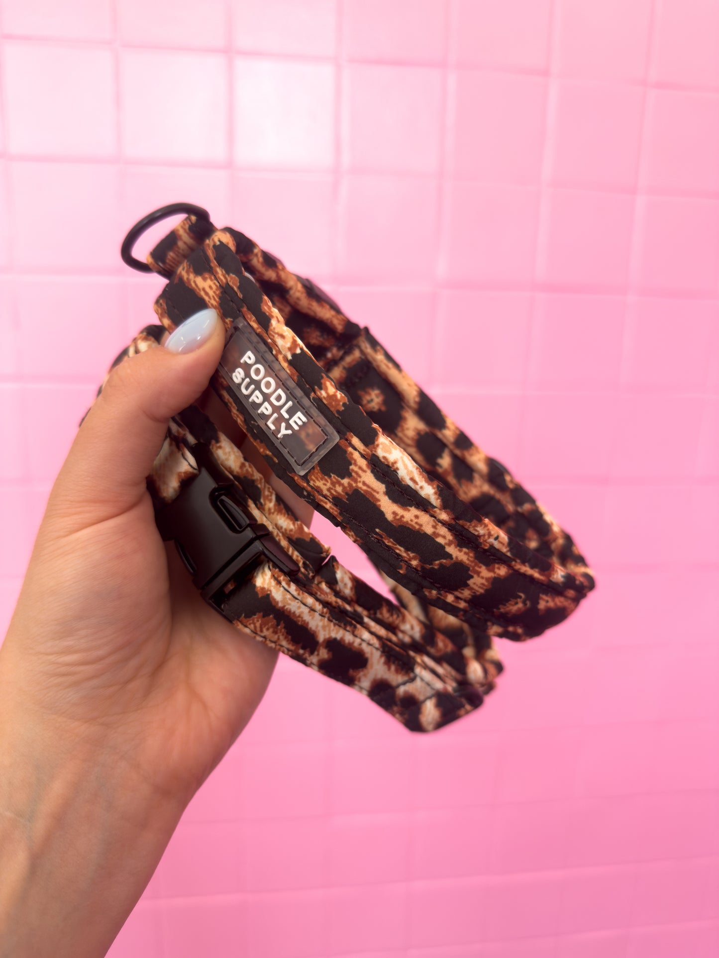 Fluffy Buckle Collar Leopard Supply