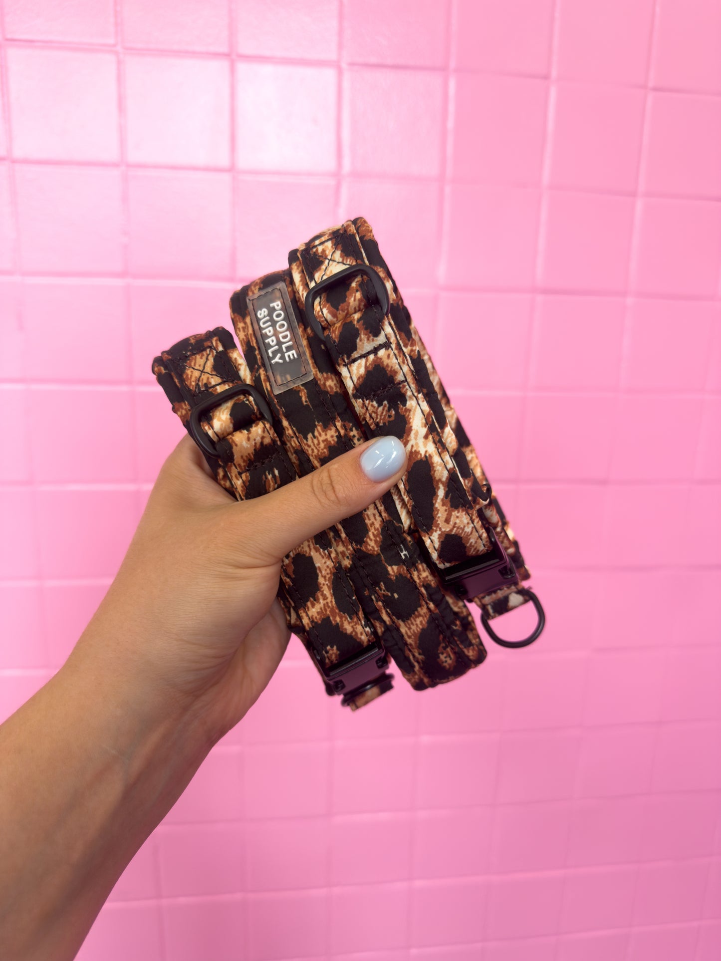 Fluffy Buckle Collar Leopard Supply