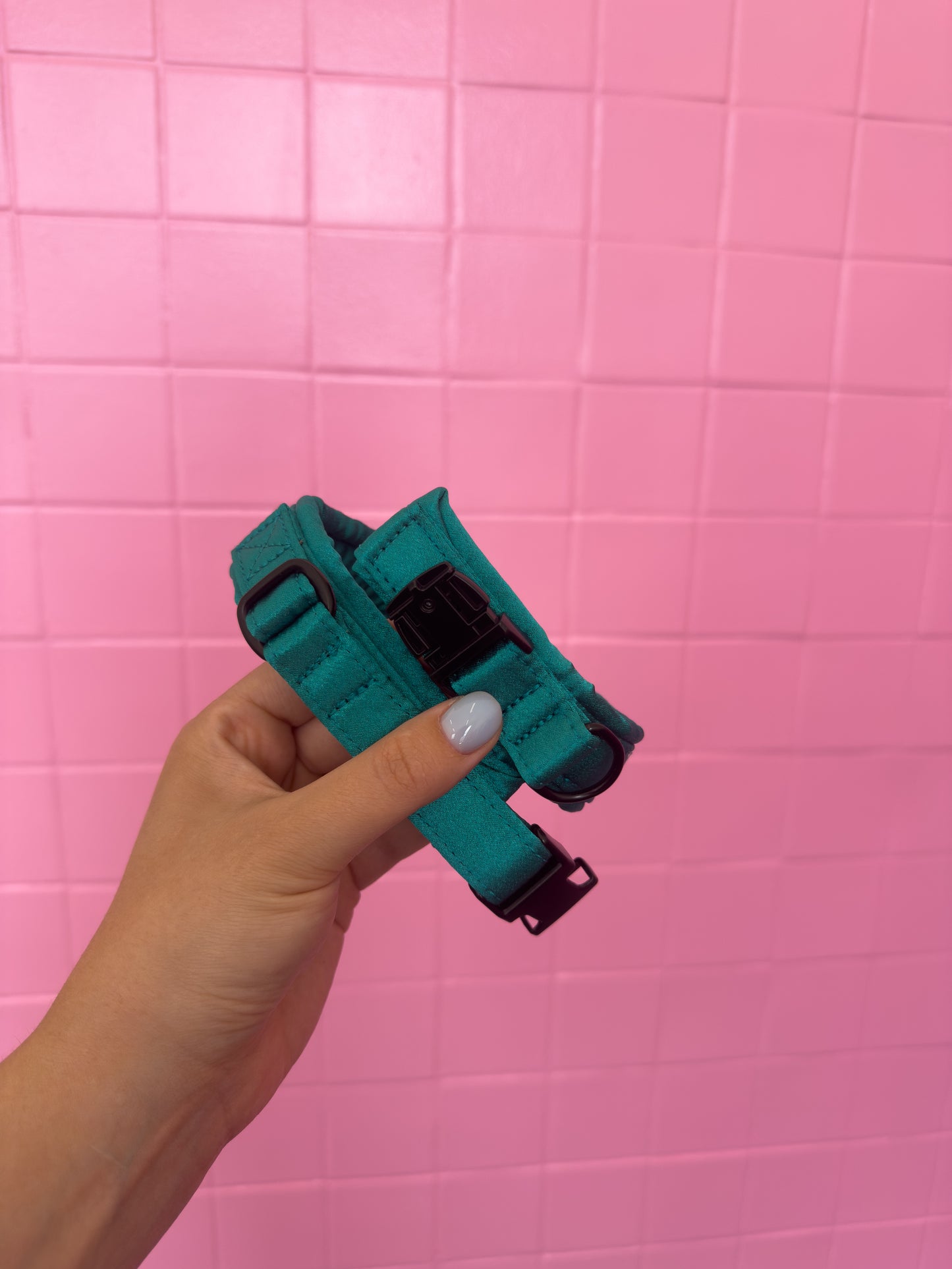 Fluffy Buckle Collar Teal