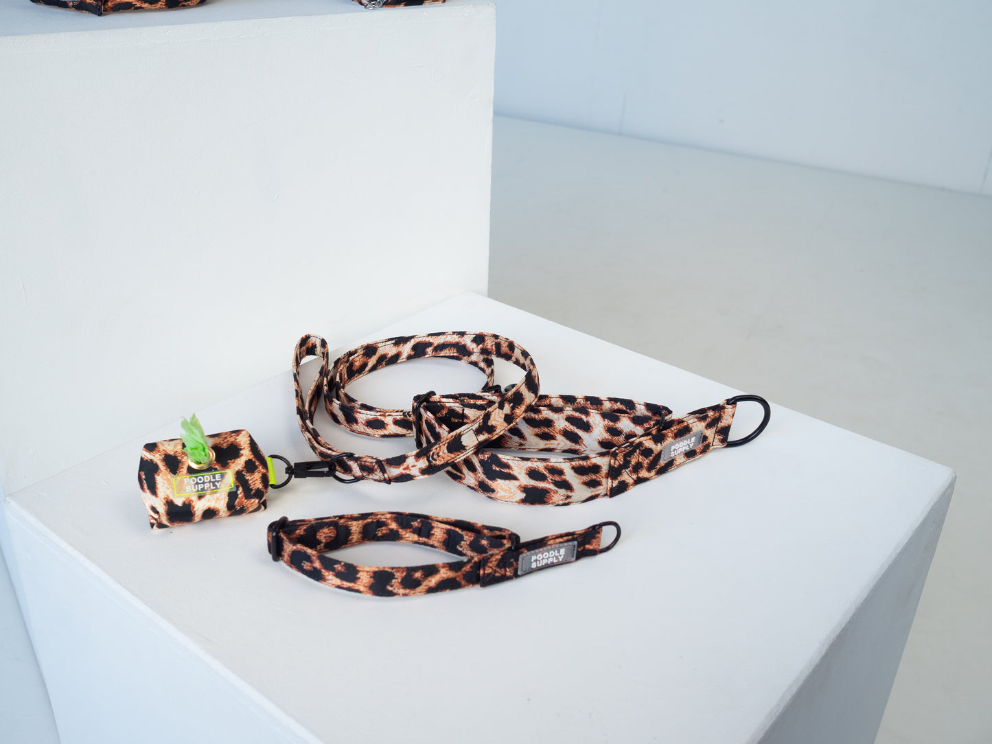 Martingale Collar Leopard Supply - 1,5cm