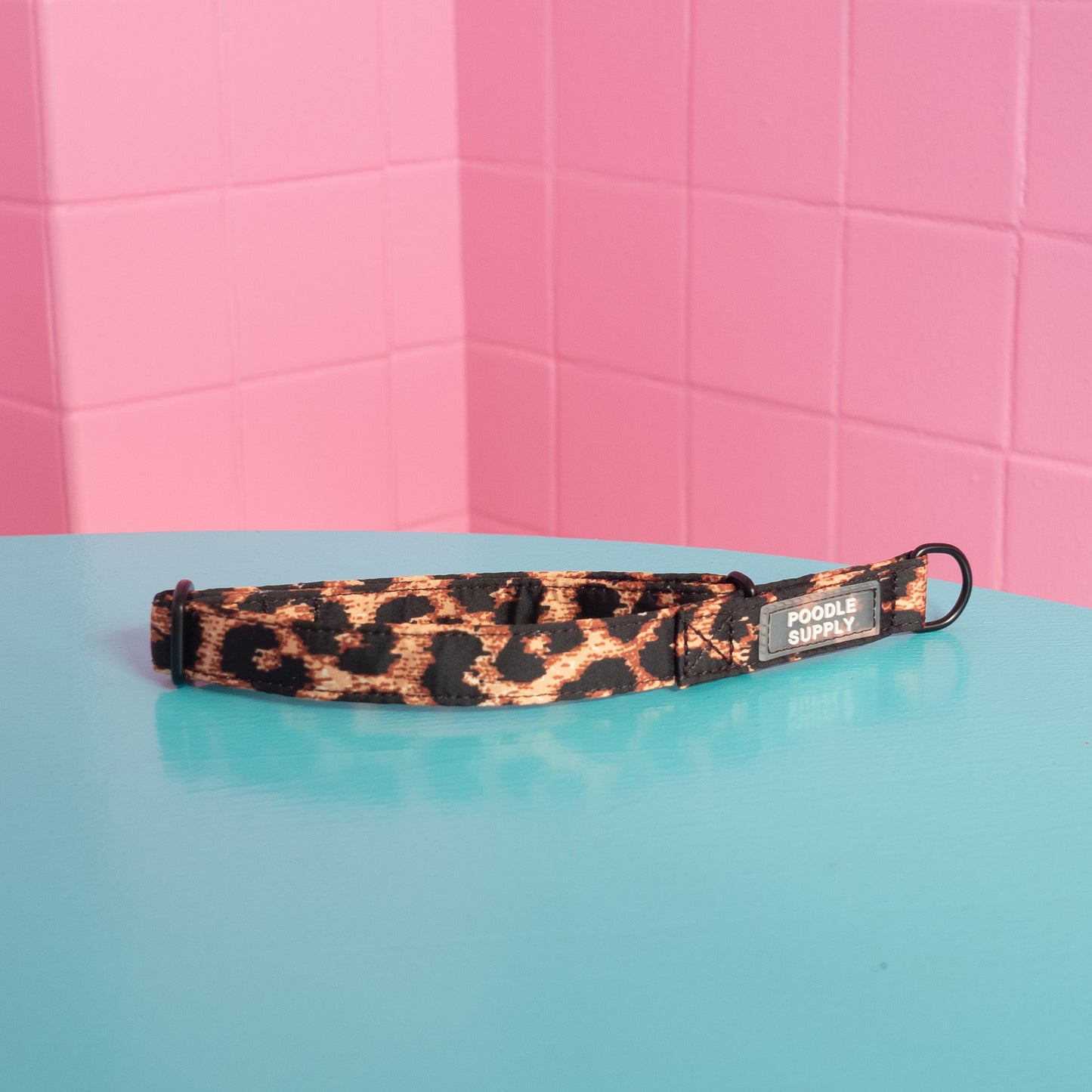 Martingale Collar Leopard Supply - 2cm