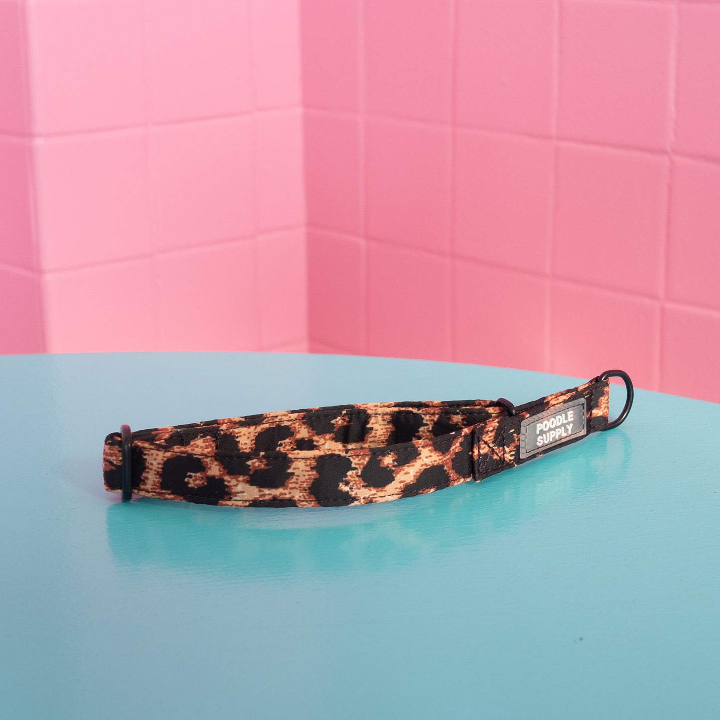 Martingale Collar Leopard Supply - 2cm