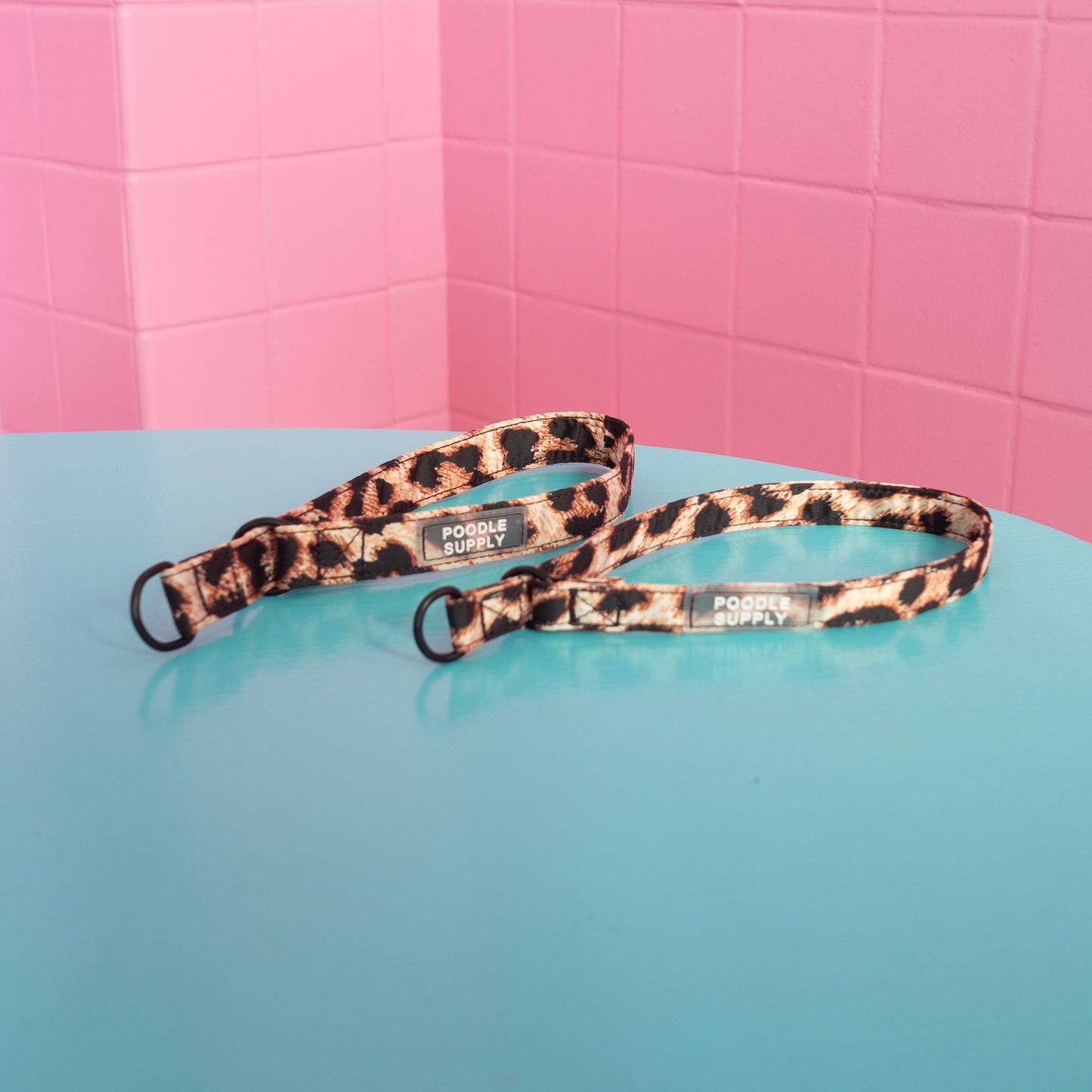 Slip Collar Leopard Supply - 1,5cm