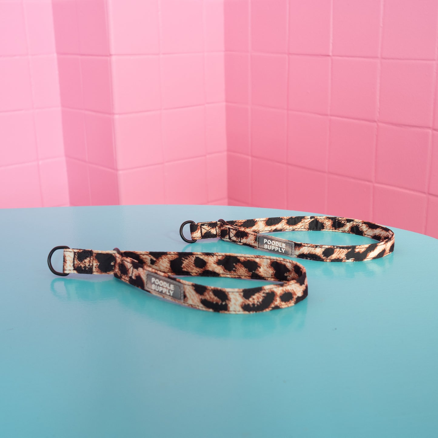 Slip Collar Leopard Supply - 2cm