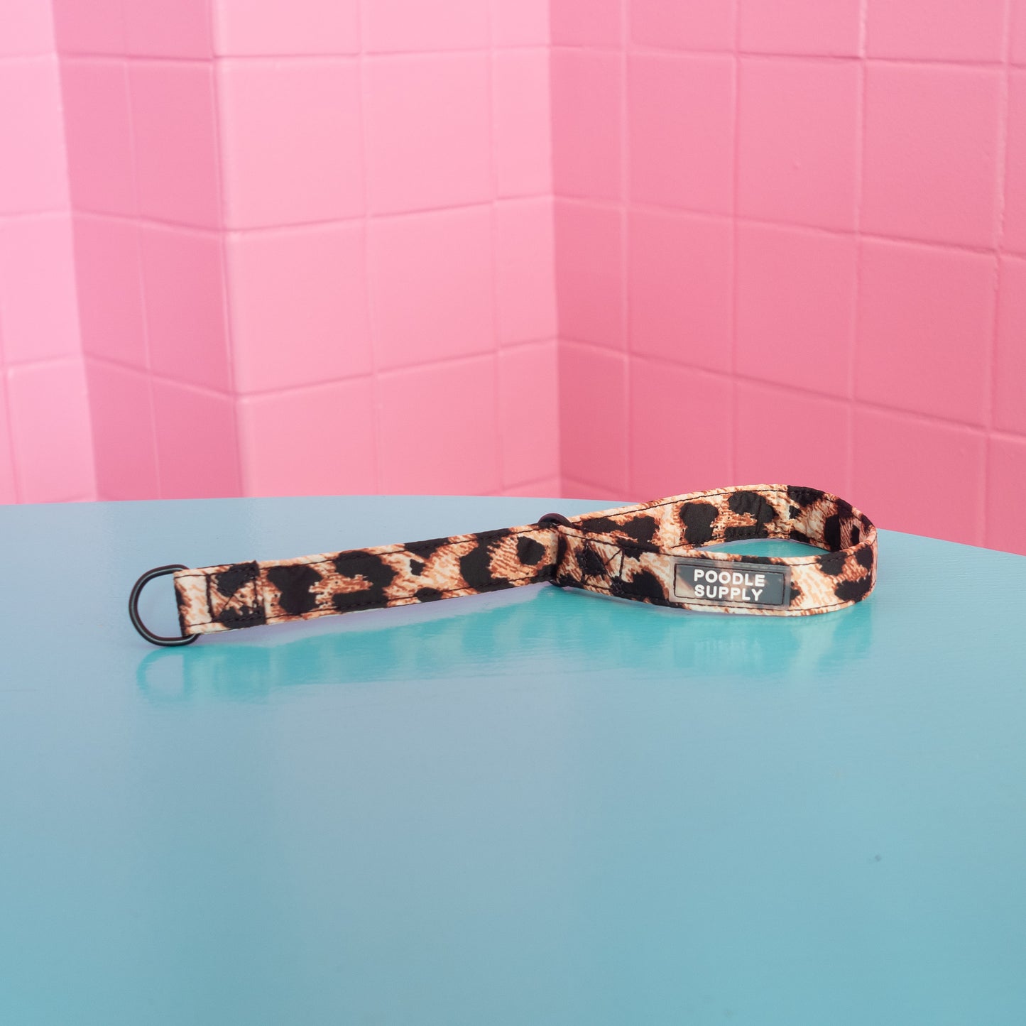 Slip Collar Leopard Supply - 2cm