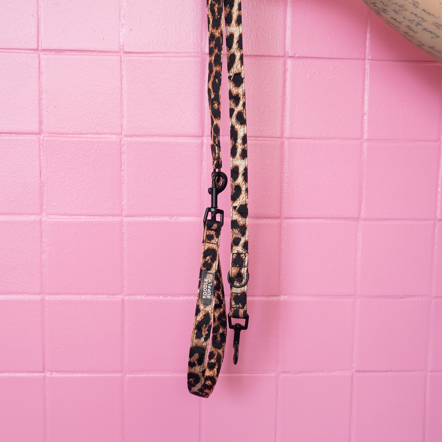 Adjustable Leash Leopard Supply