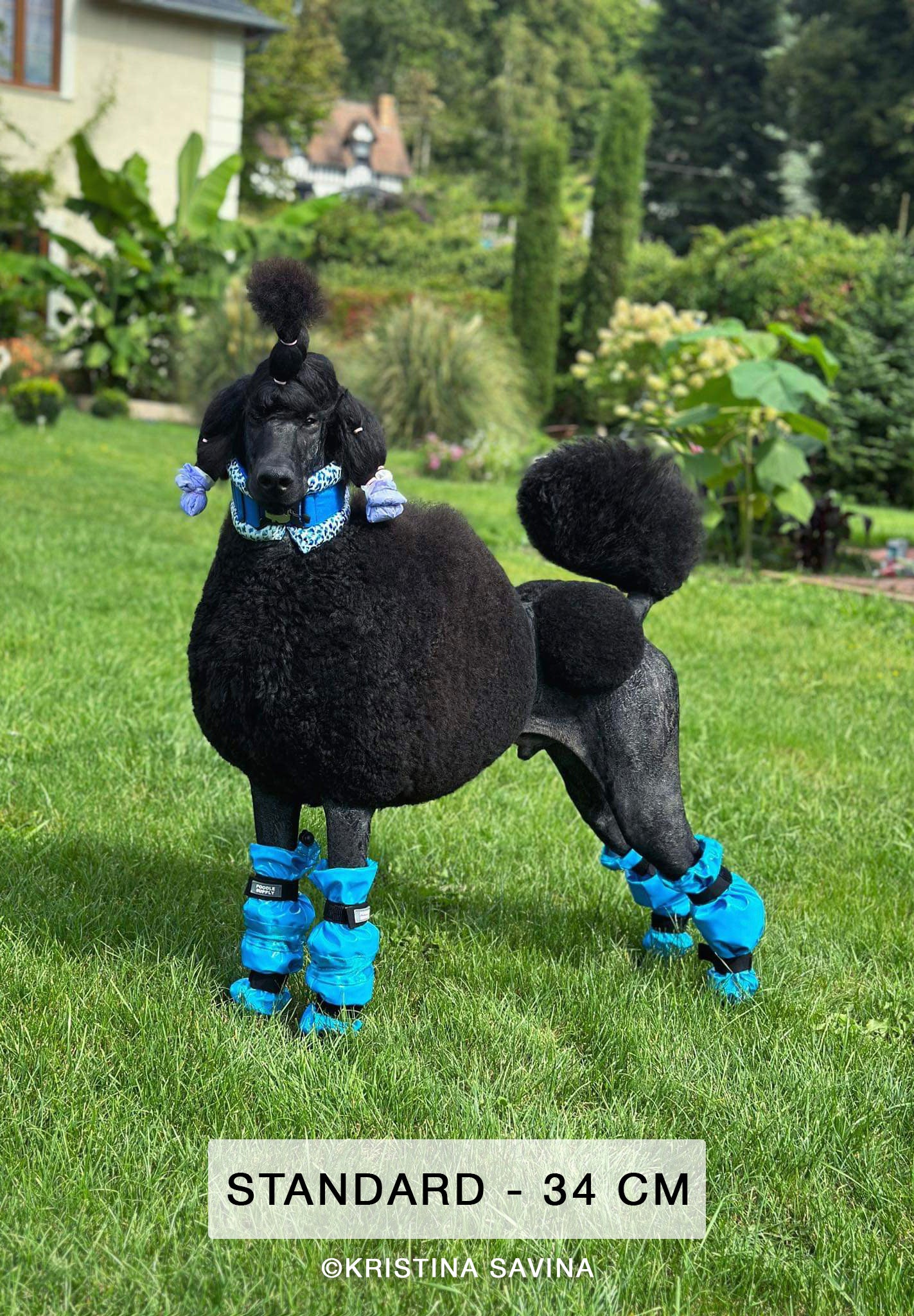 Poodle Supply Set 4 Leg Protectors Cosmic